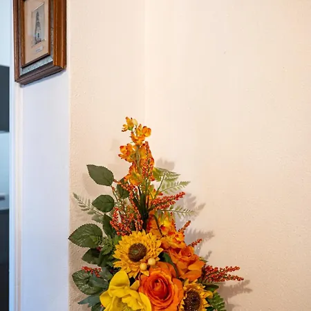 Delia Apartment *